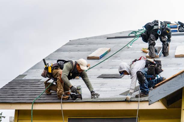 Professional Storm Damage Roof Repair technician working in Bumpus Mills, TN